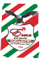 Eagle Pizza Flour (16 kg)