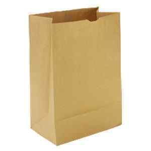 Paper Bag 10 x 10 (1000)