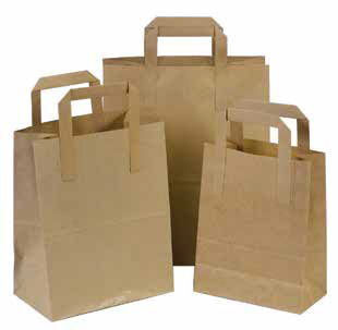 Brown Paper Bag Large with Handle  (1 x 250)